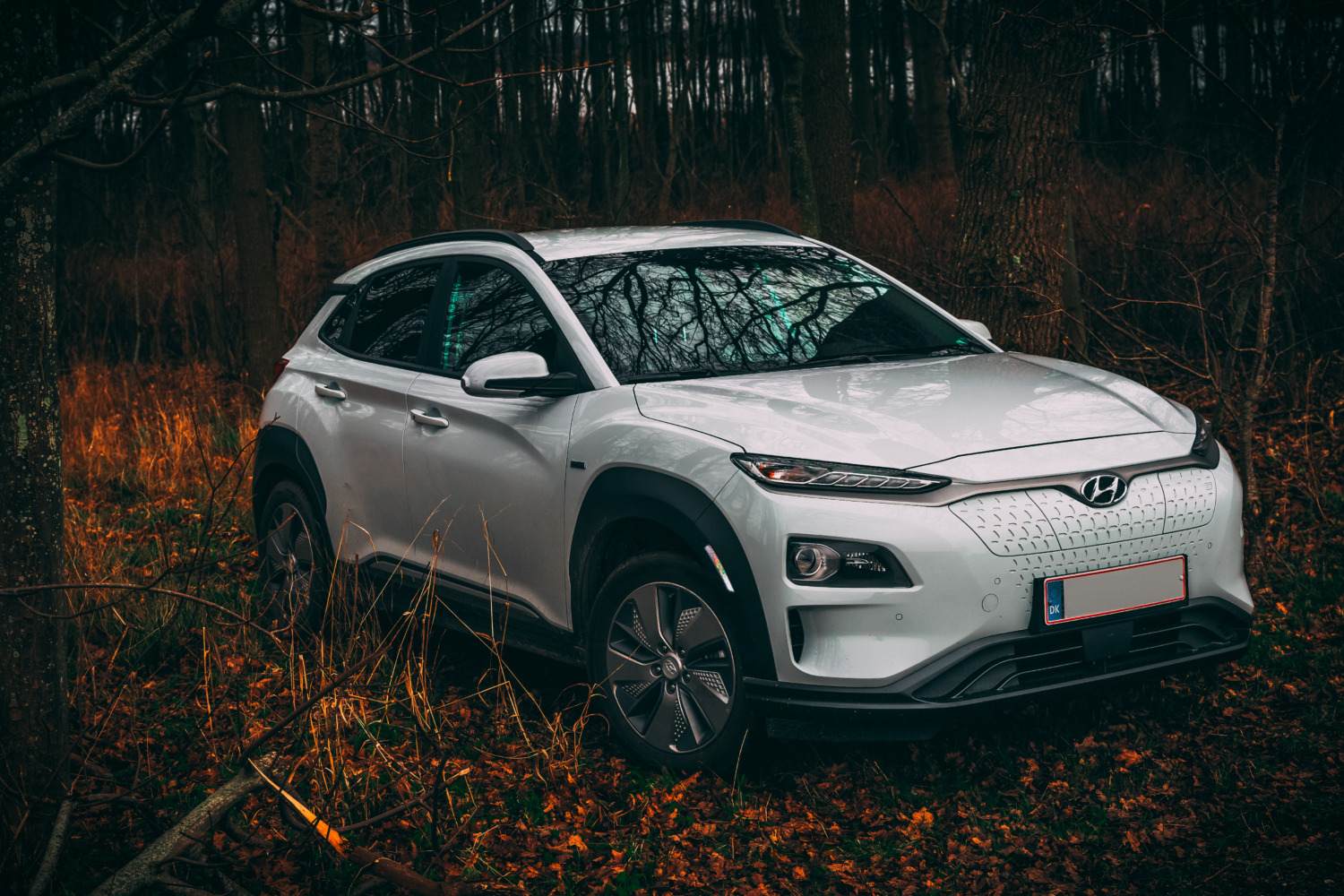 Hyundai Kona EV